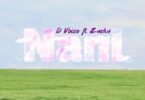 MP3 DOWNLOAD D Voice Ft Zuchu – Nani