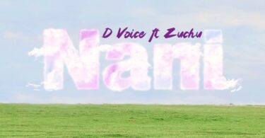 MP3 DOWNLOAD D Voice Ft Zuchu – Nani