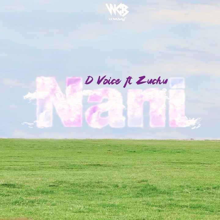 MP3 DOWNLOAD D Voice Ft Zuchu – Nani