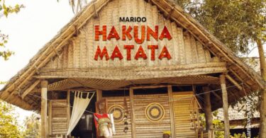 MP3 DOWNLOAD Marioo – Hakuna Matata