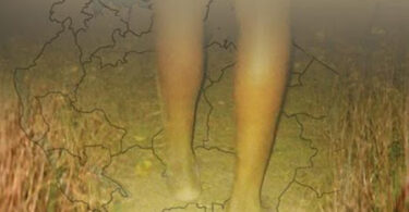 SIMULIZI Kiguu na Njia