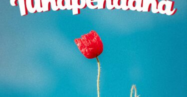 MP3 DOWNLOAD D Voice Ft Mbosso - Tunapendana