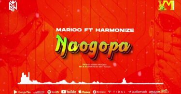 MP3 DOWNLOAD Marioo Ft Harmonize – Naogopa